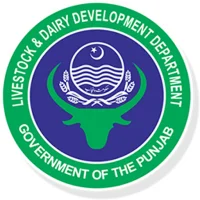 Livestock Punjab SPMS-9211